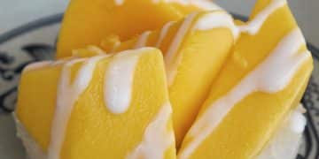 Samantha Vallejo Nágera - Recetas - Sticky Rice con Mango